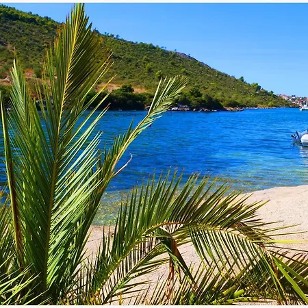 Andi *